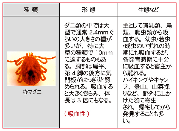 ダニについての基礎知識
